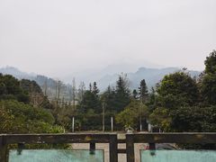 -雅安楠水阁温泉酒店