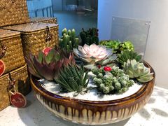-九秋茶铺(三里屯店)