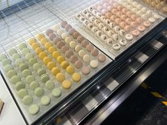 -BLACKSWAN黑天鹅(环球店)