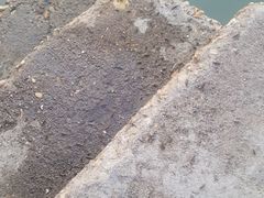 -北部湾广场