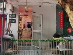 -宠屋宠物美容店
