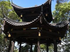 -金鸡山公园