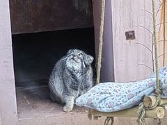 -青藏高原野生动物园