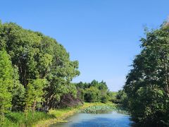 -昆山城市生态森林公园