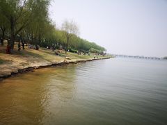 -丁香湖公园
