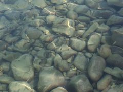 iphone_upload_pic-东姑阿都拉曼海洋公园