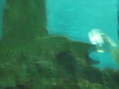 -北戴河圣蓝海洋公园