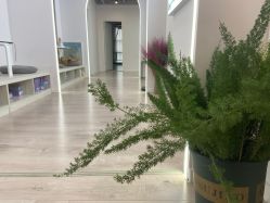 -羿刻互动·瑜伽雅集·瘦身·塑形