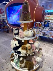 -kidsland(颐堤港店)