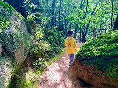 -洛阳白云山景区