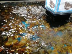 -盒马鲜生(曜一城店)