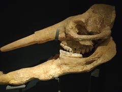 -湖南省地质博物馆