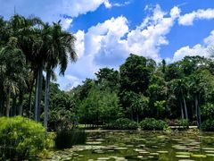-中国科学院西双版纳热带植物园