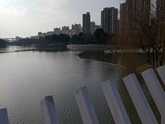 -南翔镇银翔湖公园
