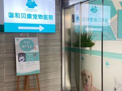 -谐和贝康宠物医院24小时·宠保定点(急重症转诊中心)
