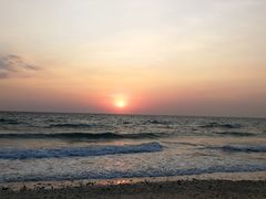 -贝壳沙滩