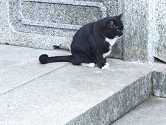 -灵顺寺