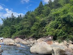 -广州市流溪河国家森林公园