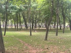 -秦皇岛野生动物园