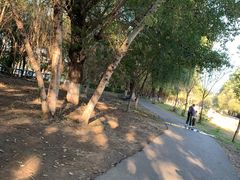 -长白岛森林公园