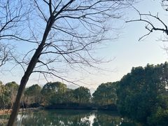 -西溪国家湿地公园