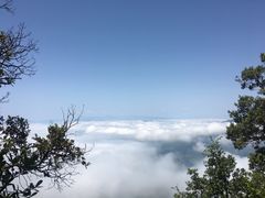 -塔云山