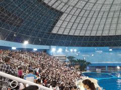 -泉城欧乐堡海洋极地世界
