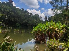 -深圳仙湖植物园