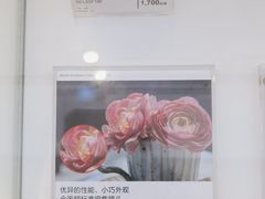 -Sony Store 索尼(上海淮海中路店)