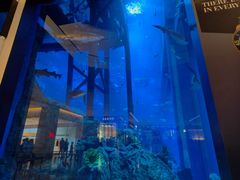 -迪拜水族馆及水下动物园