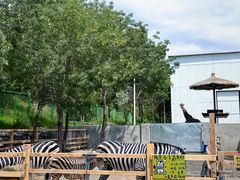 -水上乐园·欢乐世界