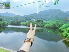 -龙坞茶村