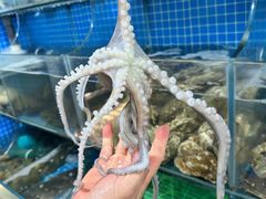 -宾朋海鲜饭庄(兴海路店)