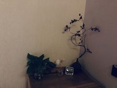 -聆耳·采耳·按摩·SPA(会展中心店)