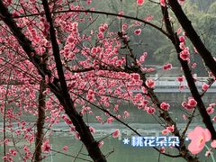 -望江楼公园