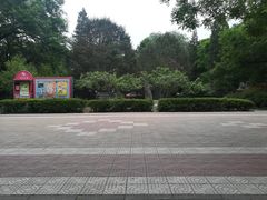 -北京大学燕东园