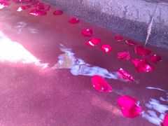 玫瑰池-天目湖御水温泉·度假酒店