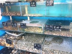 -北戴河庆山饭店·海鲜砂锅粥(北戴河黑石路店)