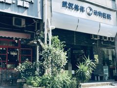 -伟伟宠物医院·CT影像中心·瑞派犬猫综合性门诊(汉口总院)