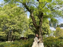 -铁山坪森林公园