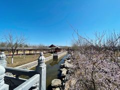 -张家湾公园