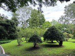 -中国科学院西双版纳热带植物园