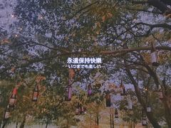 -大塘金香草谷