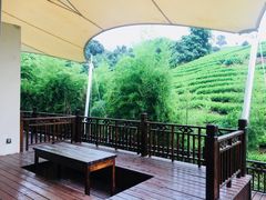 -帐篷客·溪龙茶谷度假酒店