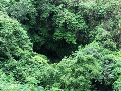-海口火山口国家地质公园