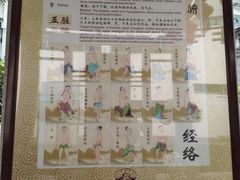 -广州神农草堂中医药博物馆