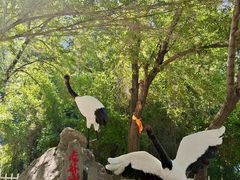 -老爷山风景区