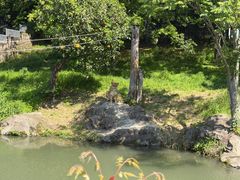 -杭州野生动物世界