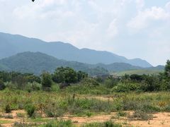 -海泉湾竹筒饭·瘦身水库大头鱼(从化温泉镇店)