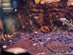 -华夏文旅西安度假区